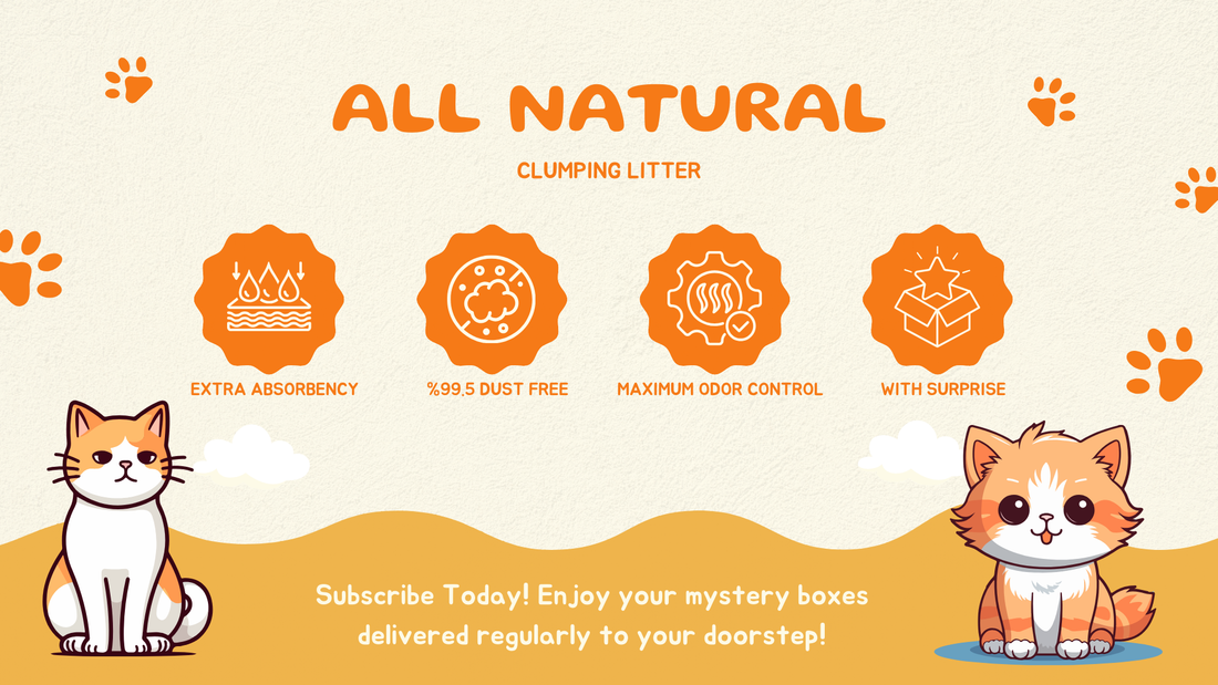 Klean Kat Premium Cat Litter - Key Features