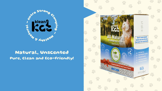 Gentle on Your Cat's Sensitive Nose and Eco-Friendly: Klean Kat Natural, Unscented Cat Litter Review