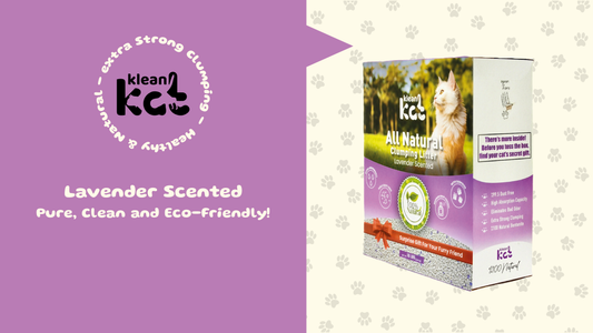 Refreshing with Lavender Scent and Purple Granules: Klean Kat Lavender Scented Cat Litter Review