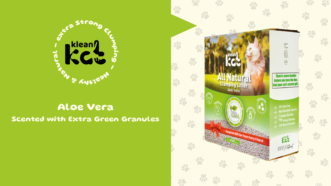 Aloe Vera Freshness and Cleaning with Green Granules: Klean Kat Aloe Vera Scented Cat Litter Review