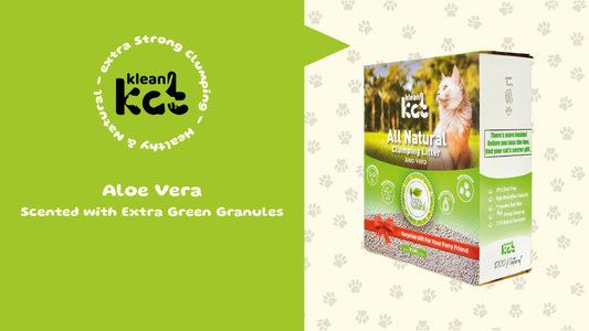 Aloe Vera Freshness and Cleaning with Green Granules: Klean Kat Aloe Vera Scented Cat Litter Review